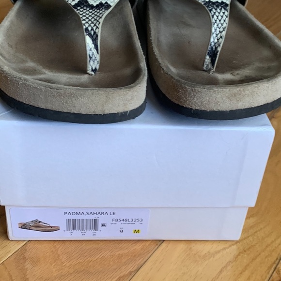 Vince python slides - Picture 4 of 4